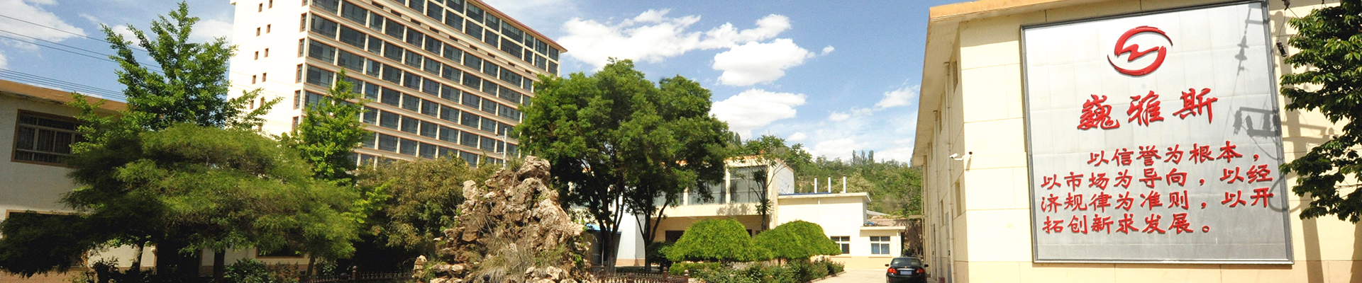 巍雅斯開(kāi)創(chuàng)于1976年，50年來(lái)，在黨的改革開(kāi)放政策指引下，始終堅(jiān)持“以信譽(yù)為根本、以市場(chǎng)為導(dǎo)向、以經(jīng)濟(jì)規(guī)律為準(zhǔn)則、以開(kāi)拓創(chuàng)新求發(fā)展”，與甘肅、寧夏、青海、陜西、西藏、內(nèi)蒙等六省區(qū)80多家大型零售商場(chǎng)建立了長(zhǎng)期友好的合作關(guān)系。